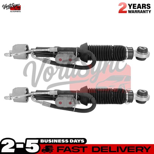Pair rear hydraulic shock - rear, l&r